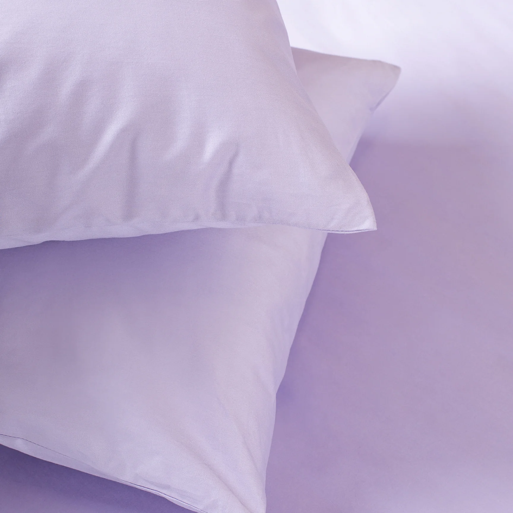 Product photography showing a set of two soft Ecotex pillows arranged side by side, showcasing their shape and volume.